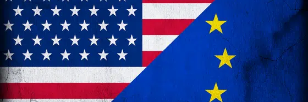 EU U S Data Privacy Framework