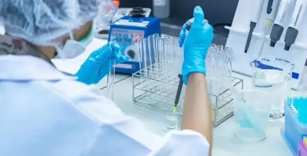 Image For Article 6166 16552117927763735 jpg