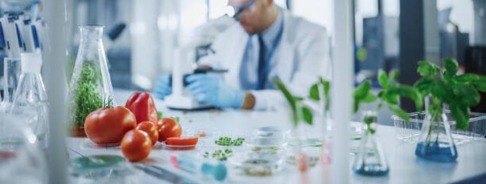 Istockphoto 1352820340 612x612